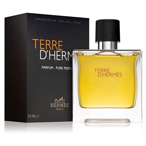 terre d hermes hermes edp|terre d Hermes m type.